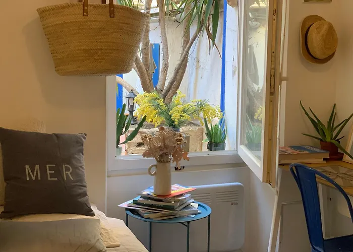 Jolie Studette Avec Patio Style Cabanon